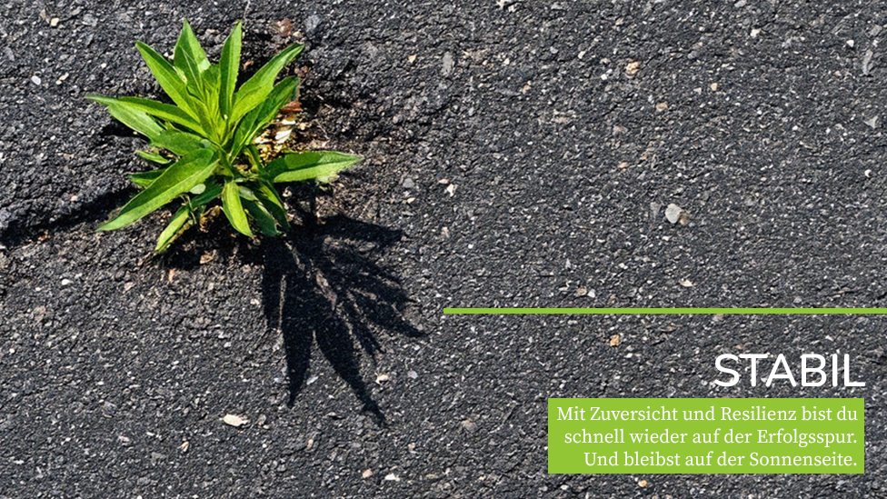 Eine in Richtung Sonne wachsende Pflanze hat den Asphalt besiegt: Symbol für Zuversicht und Resilienz auf dem Weg zum Erfolgscomeback. Stabil.